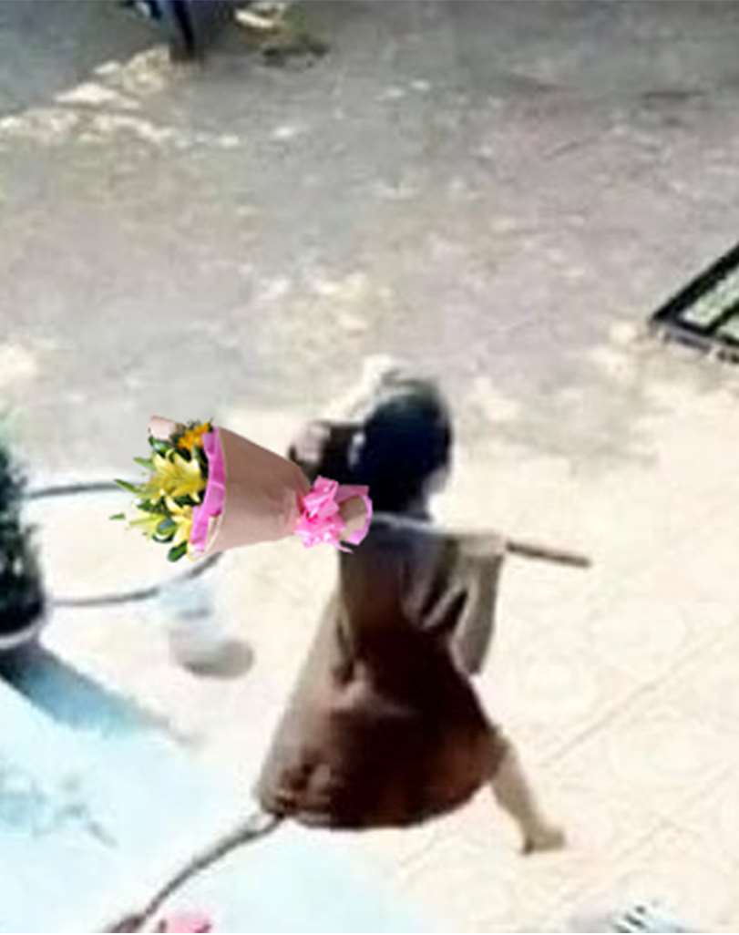 Dân mạng chế ảnh mẹ bầu vác rựa giúp chồng đuổi trộm: Nóc nhà này quá chất lượng-2