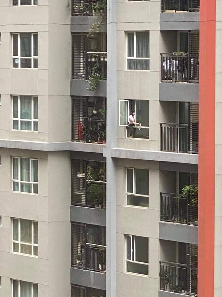 Thót tim cảnh nữ giúp việc biến hình thành người nhện, trèo hẳn ra ngoài cửa sổ chung cư để lau kính-2