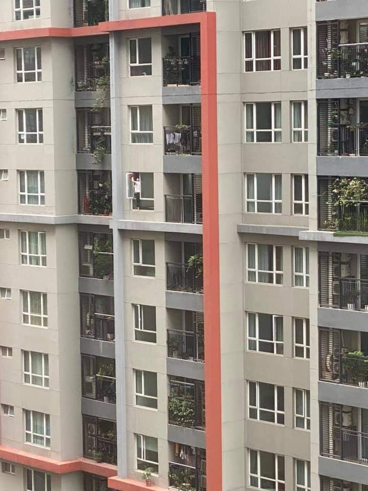 Thót tim cảnh nữ giúp việc biến hình thành người nhện, trèo hẳn ra ngoài cửa sổ chung cư để lau kính-3