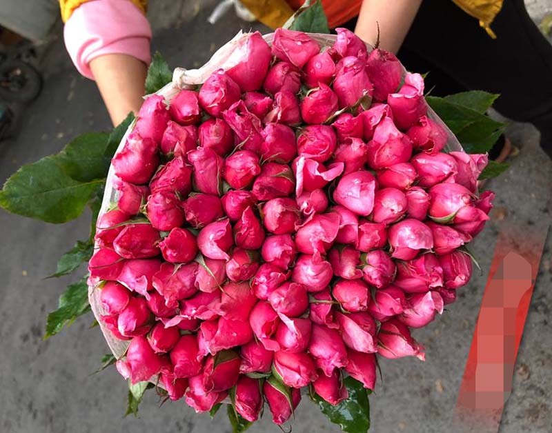 Hoa hồng lại rẻ như cho, ngồi nhà chốt bán 4 vạn bông/ngày-2