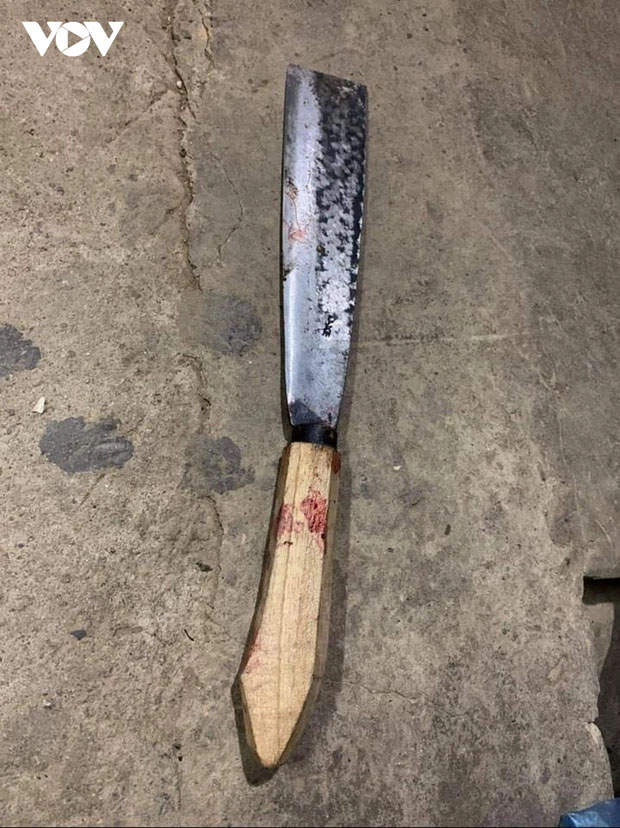 Con phê ma túy chém bố trọng thương phải nhập viện-2