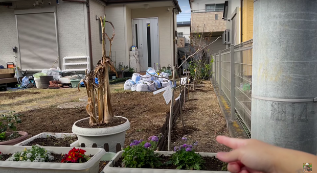 Quỳnh Trần JP bất ngờ đăng clip tố hàng xóm người Nhật kỳ thị, bị ghét từ khi mới dọn về khiến nhiều người bức xúc-1