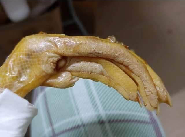 Món chân vịt cay đang nổi rần rần, cô gái cũng tìm mua nhưng mở ra thì hết hồn, lập tức cảnh báo: Cẩn thận kẻo sinh bệnh!-3