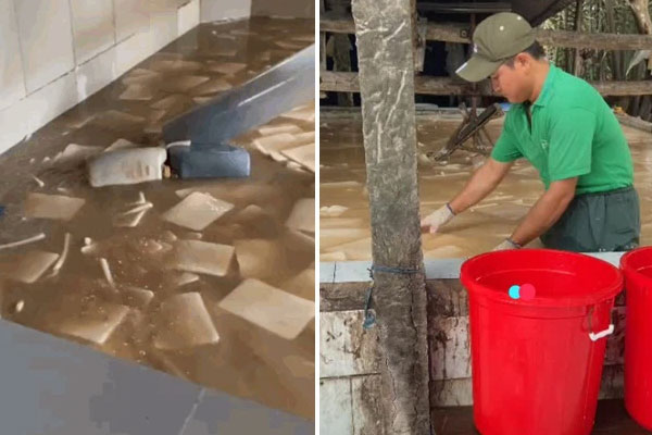 Miền Bắc đón đợt gió mùa đông bắc mạnh nhất tháng 3, Hà Nội thấp nhất 15 độ C-1