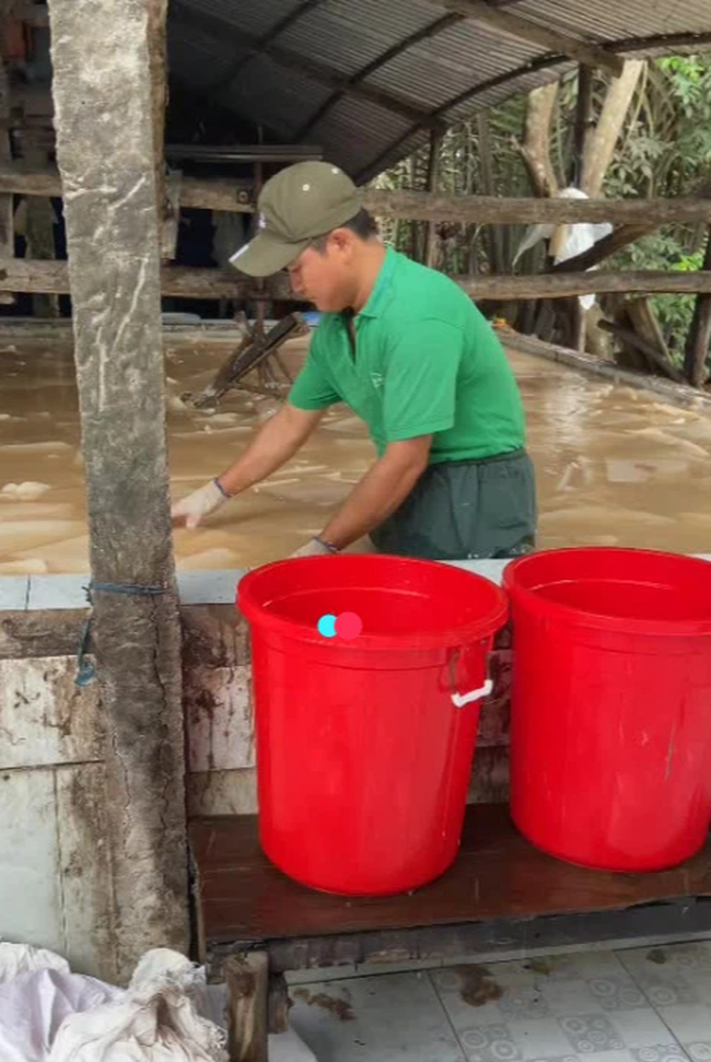 Hãi hùng chứng kiến công nghệ làm thạch dừa siêu bẩn: Thạch được ngâm trong bể nước đục ngầu, nhân viên thản nhiên nhổ nước bọt vào bể-4
