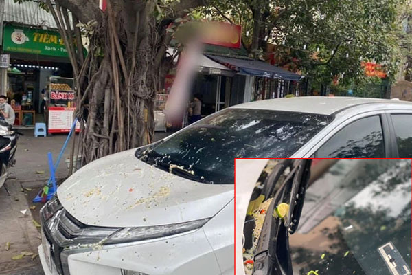 Rùng mình hình ảnh chân gà mốc thối phơi la liệt ngoài đường, xe cộ đi lại bụi bặm, sự thật đằng sau khiến nhiều người bất ngờ-7