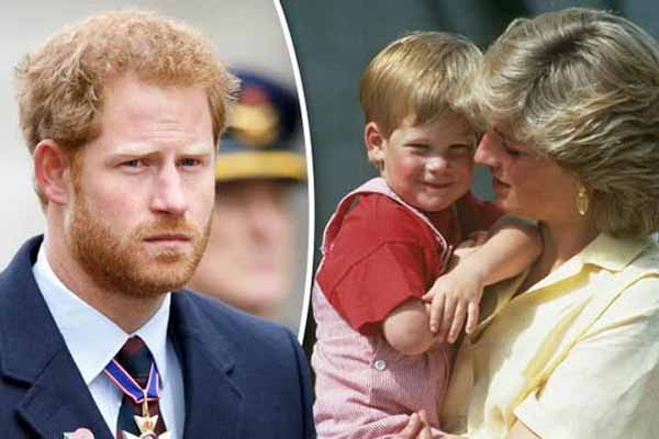 4 lần Công nương Diana diện đồ táo bạo: Chiếc váy o ép vòng 1 cũng không sexy bằng lần phá luật Hoàng gia-7