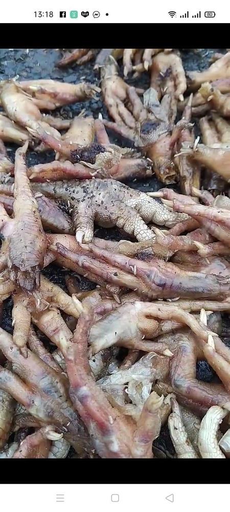 Rùng mình hình ảnh chân gà mốc thối phơi la liệt ngoài đường, xe cộ đi lại bụi bặm, sự thật đằng sau khiến nhiều người bất ngờ-3