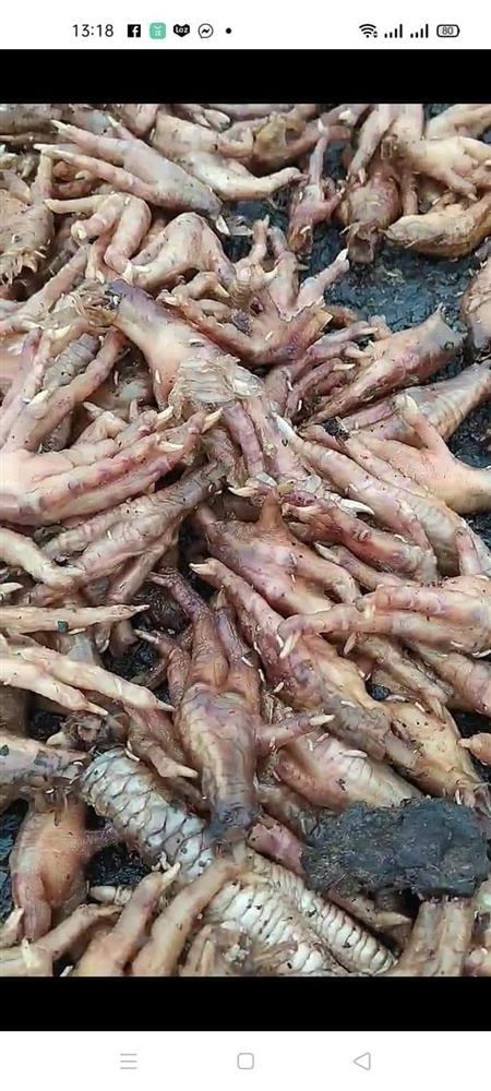 Rùng mình hình ảnh chân gà mốc thối phơi la liệt ngoài đường, xe cộ đi lại bụi bặm, sự thật đằng sau khiến nhiều người bất ngờ-4