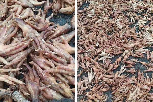 Hà Nội: Bức tường bất ngờ đổ sập khiến người đàn ông đi xe máy bất tỉnh, vợ mang bầu thoát nạn-2