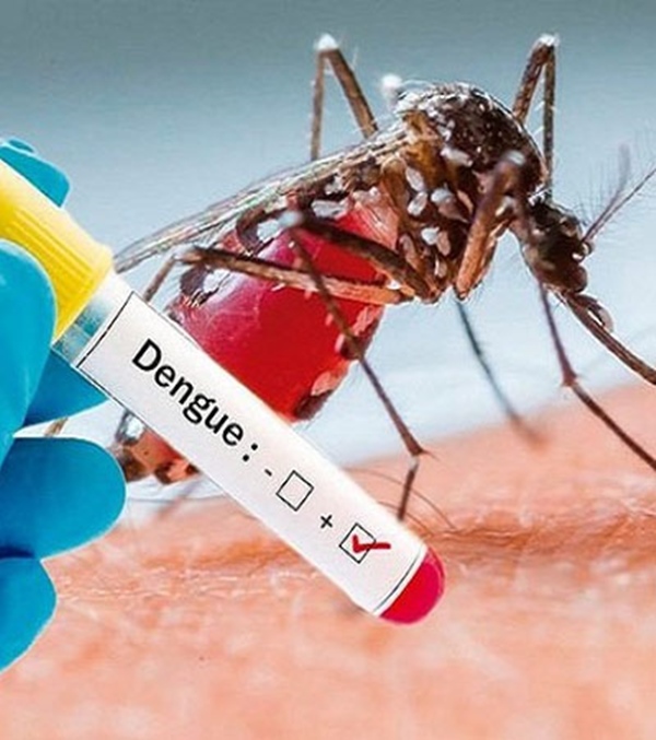 2 trường hợp tử vong do sốt xuất huyết, bất kì ai cũng cần biết những điều nên và không nên làm khi bị sốt xuất huyết-3