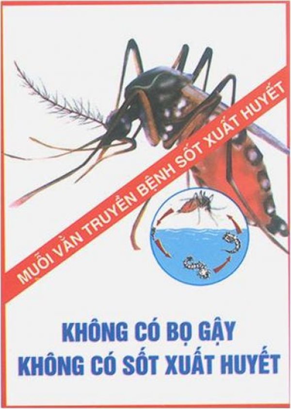 2 trường hợp tử vong do sốt xuất huyết, bất kì ai cũng cần biết những điều nên và không nên làm khi bị sốt xuất huyết-15