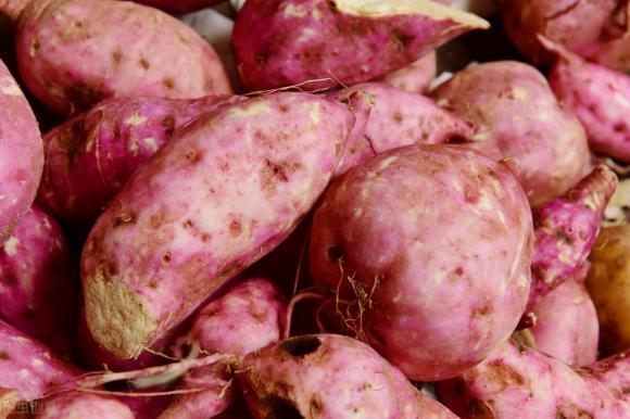 Khi mua khoai lang nên chọn củ to hay củ nhỏ? Lão nông dạy bạn 3 mẹo nhỏ, khoai lang mua về sẽ mềm và ngọt-3