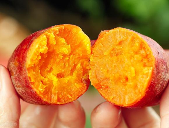 Khi mua khoai lang nên chọn củ to hay củ nhỏ? Lão nông dạy bạn 3 mẹo nhỏ, khoai lang mua về sẽ mềm và ngọt-6