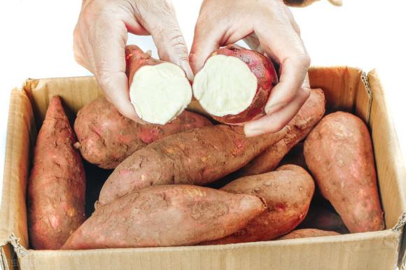 Khi mua khoai lang nên chọn củ to hay củ nhỏ? Lão nông dạy bạn 3 mẹo nhỏ, khoai lang mua về sẽ mềm và ngọt-7