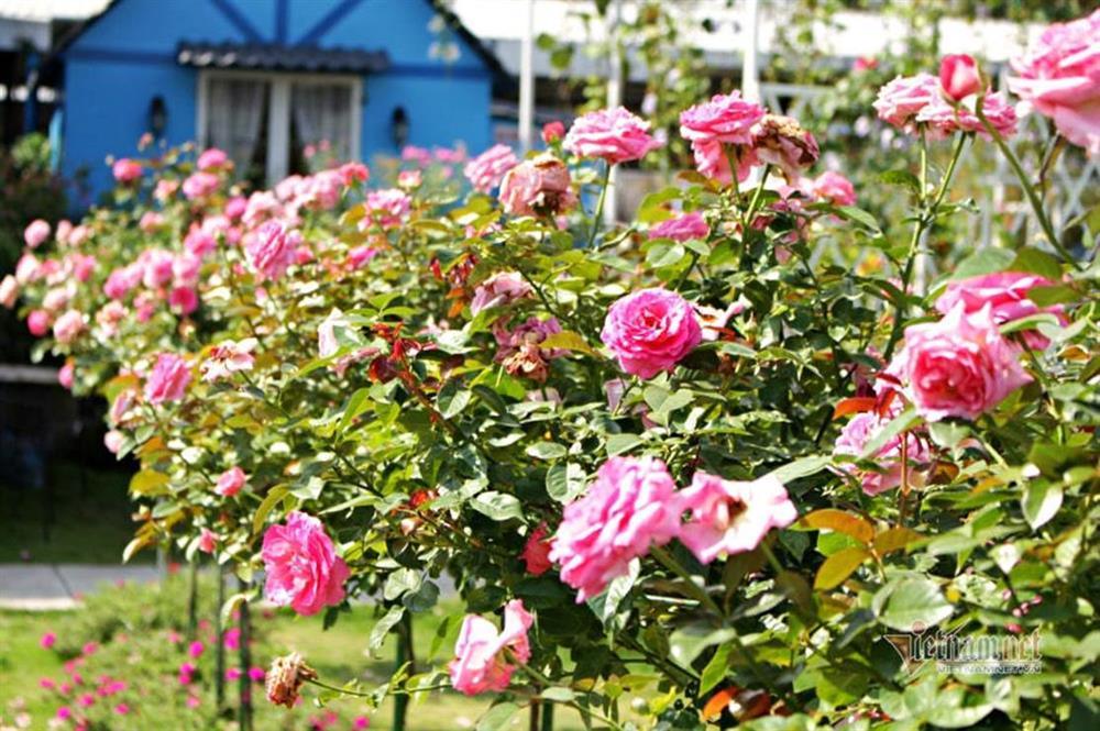 Tôi suy sụp vì chồng làm điều tội lỗi sau buổi họp lớp-2