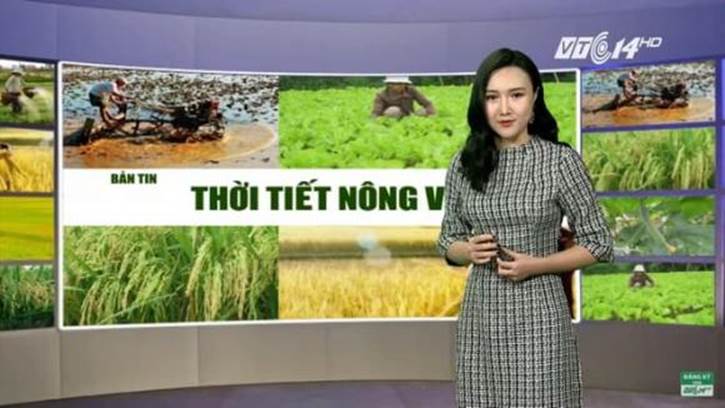 MC Diễm My phát hiện bị ung thư ngay sau lễ dạm ngõ, còn chưa được mặc váy cưới-6