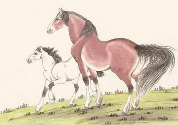 Sau 35 tuổi, top 3 con giáp tài lộc đại phát, bứt phá ngoạn mục, may mắn ngập tràn, cuộc sống phất lên như diều gặp gió-3