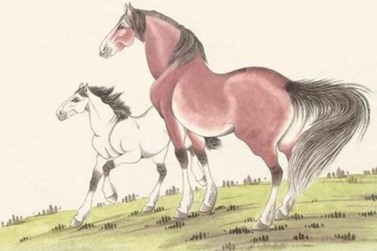 Sau 35 tuổi, top 3 con giáp tài lộc đại phát, bứt phá ngoạn mục, may mắn ngập tràn, cuộc sống phất lên như diều gặp gió