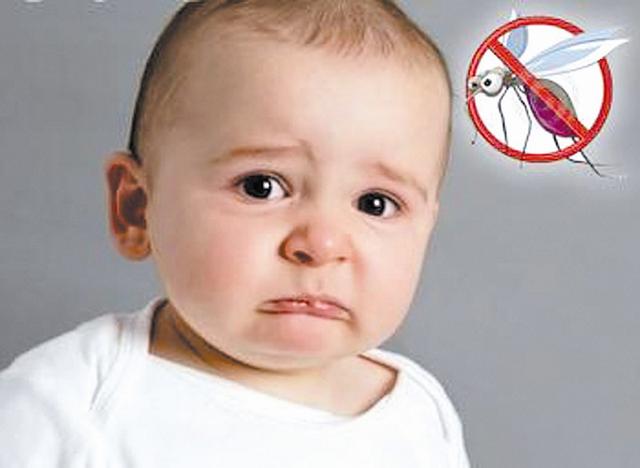 Mặc quần áo cho con nên tránh những màu sắc này để khỏi bị muỗi đốt-1