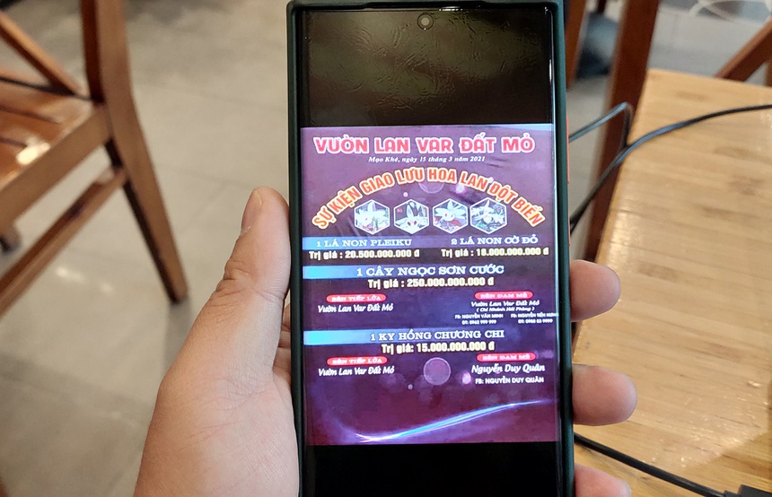 Chủ vườn nói gì về vụ giao dịch lan đột biến gần 300 tỷ đồng-1