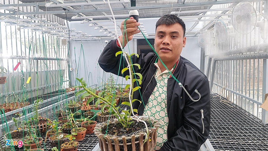 Chủ vườn nói gì về vụ giao dịch lan đột biến gần 300 tỷ đồng-2