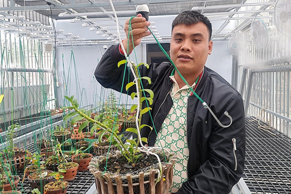 Trăm triệu đến nửa tỷ đồng 1 chiếc lá cảnh, thú lạ của dân chơi Sài Gòn-8