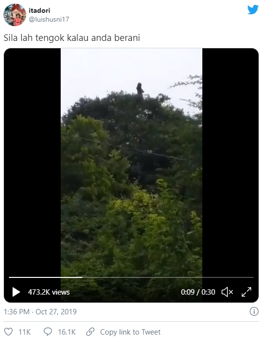 Đoạn clip bóng dáng người phụ nữ đứng nhảy nhót trên cây kèm câu chuyện rùng rợn gây bão MXH, sự thật còn khó tin hơn-1