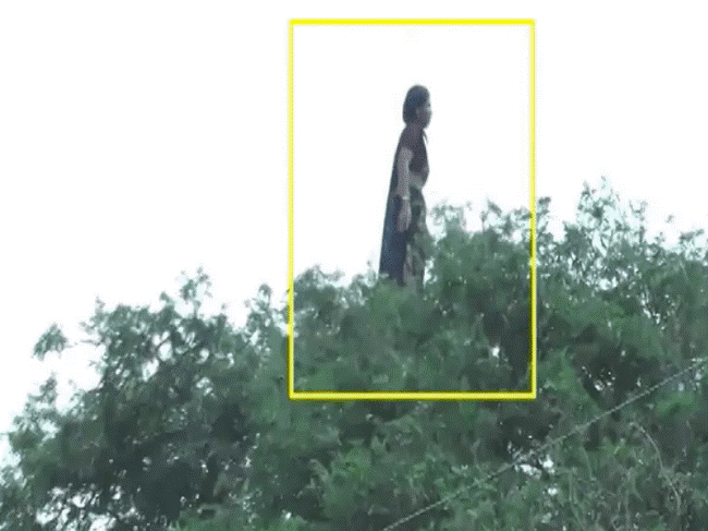 Đoạn clip bóng dáng người phụ nữ đứng nhảy nhót trên cây kèm câu chuyện rùng rợn gây bão MXH, sự thật còn khó tin hơn-3