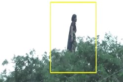 Đoạn clip bóng dáng người phụ nữ đứng nhảy nhót trên cây kèm câu chuyện rùng rợn 'gây bão' MXH, sự thật còn khó tin hơn