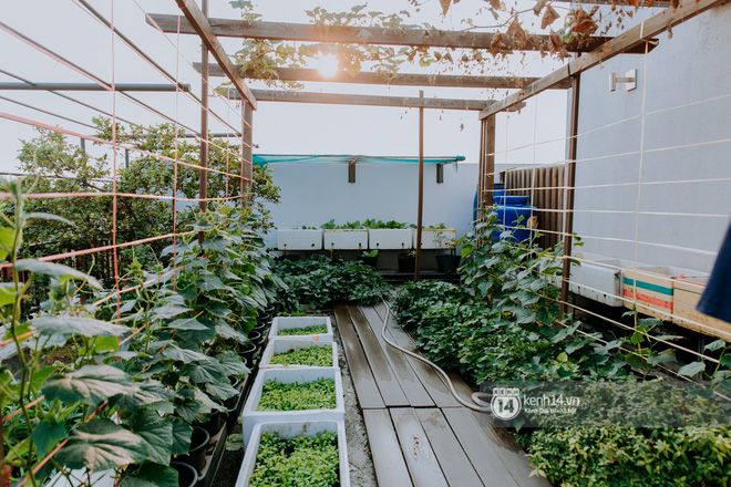 Khu Thảo Điền, quận 2 có con ngõ đỉnh của chóp: 3 căn biệt thự đều là của 3 đại gia khét tiếng-6