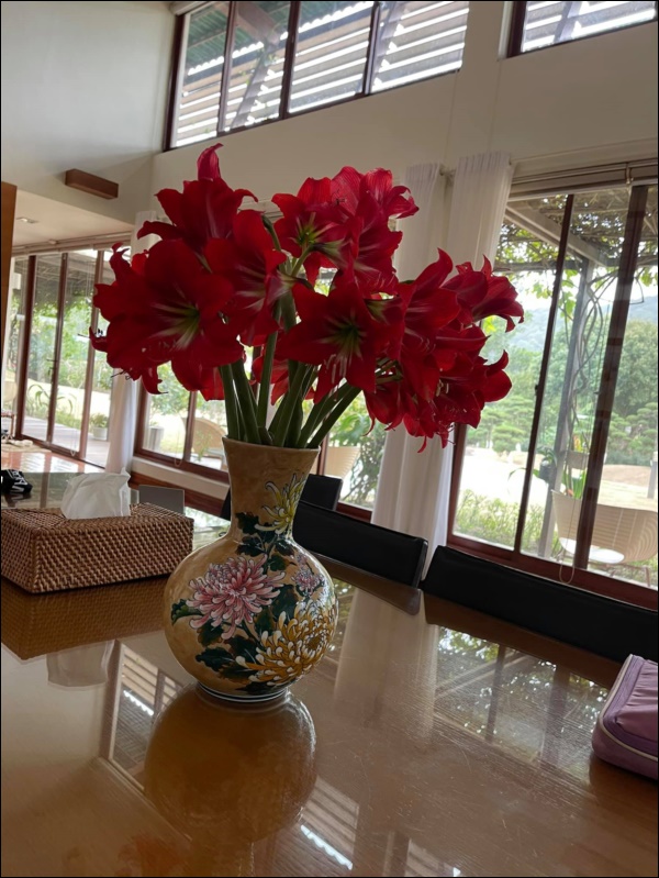 Biệt thự sân vườn ngập tràn hoa lan vạn người mê của ca sĩ Mỹ Linh-2