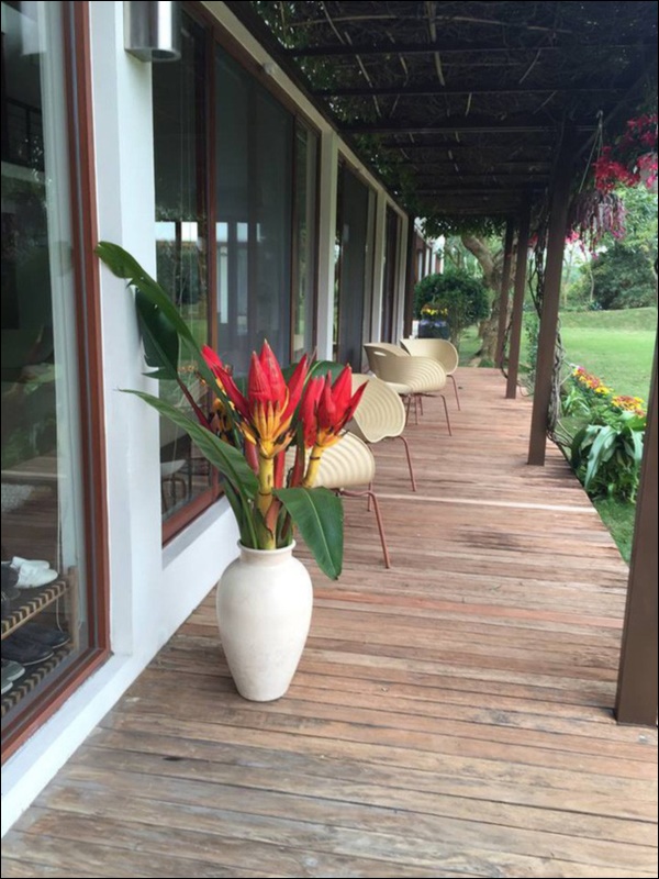 Biệt thự sân vườn ngập tràn hoa lan vạn người mê của ca sĩ Mỹ Linh-7