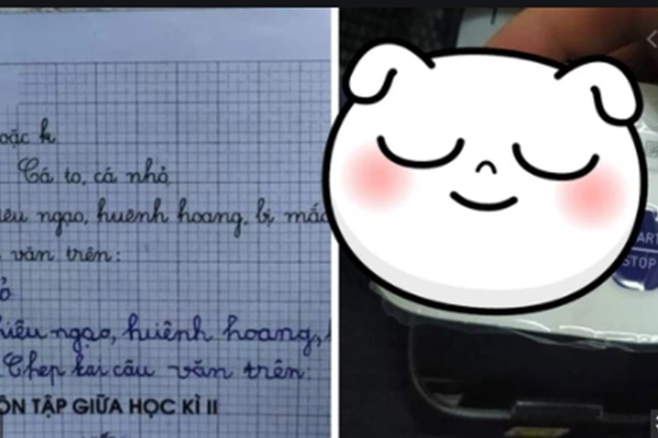 Con không làm được bài tập về nhà, bố tức giận tát con thủng màng nhĩ-3