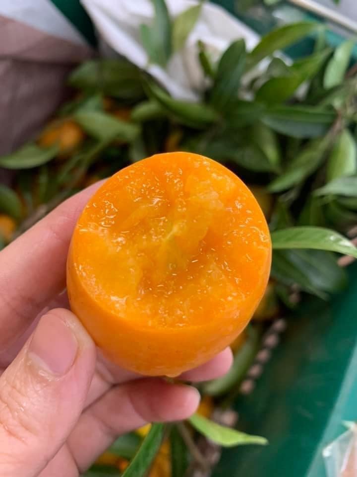 Thanh trà Thái giá rẻ giật mình, hóa ra hàng nhà thanh trà miền Tây-3