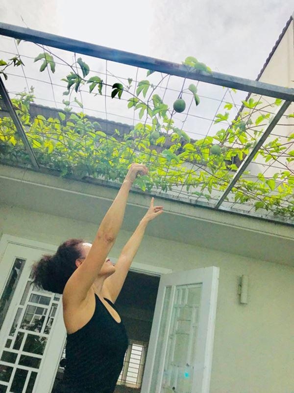 Căn biệt thự sang trọng giữa phố của bố mẹ Hồ Ngọc Hà: Diện tích rộng rãi tới mức trồng được vườn rau mát mắt-9