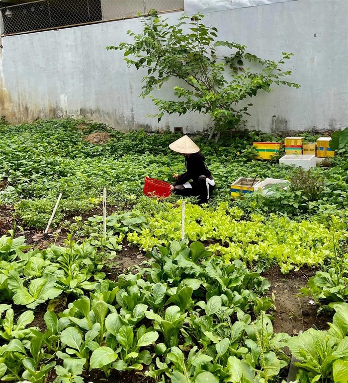 Căn biệt thự sang trọng giữa phố của bố mẹ Hồ Ngọc Hà: Diện tích rộng rãi tới mức trồng được vườn rau mát mắt-11