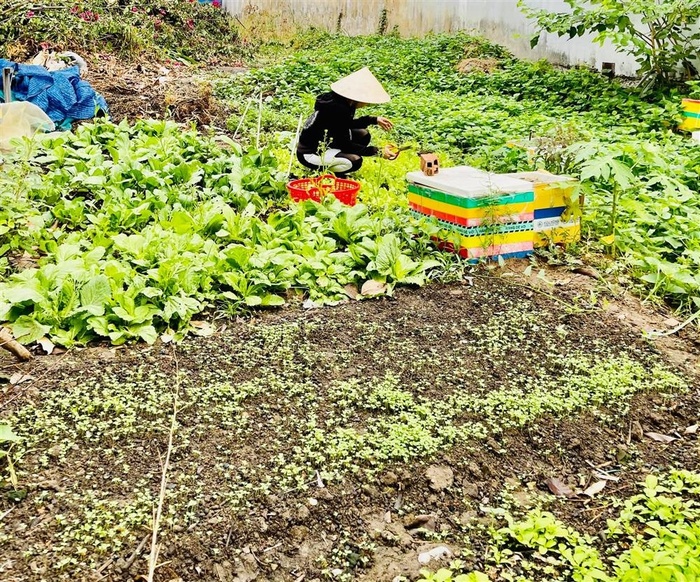 Căn biệt thự sang trọng giữa phố của bố mẹ Hồ Ngọc Hà: Diện tích rộng rãi tới mức trồng được vườn rau mát mắt-12