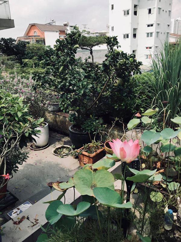 Căn biệt thự sang trọng giữa phố của bố mẹ Hồ Ngọc Hà: Diện tích rộng rãi tới mức trồng được vườn rau mát mắt-14