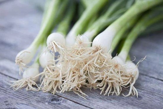 Rễ của 4 loại rau quả không những thơm ngon mà còn 