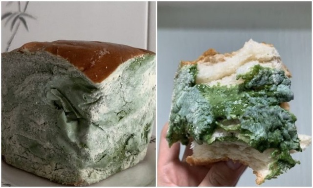 Chiếc bánh mì mốc meo xanh rờn có gì khiến cư dân mạng tranh nhau mua?-1