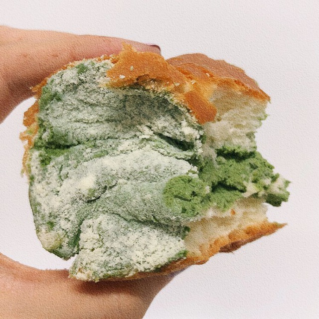 Chiếc bánh mì mốc meo xanh rờn có gì khiến cư dân mạng tranh nhau mua?-2