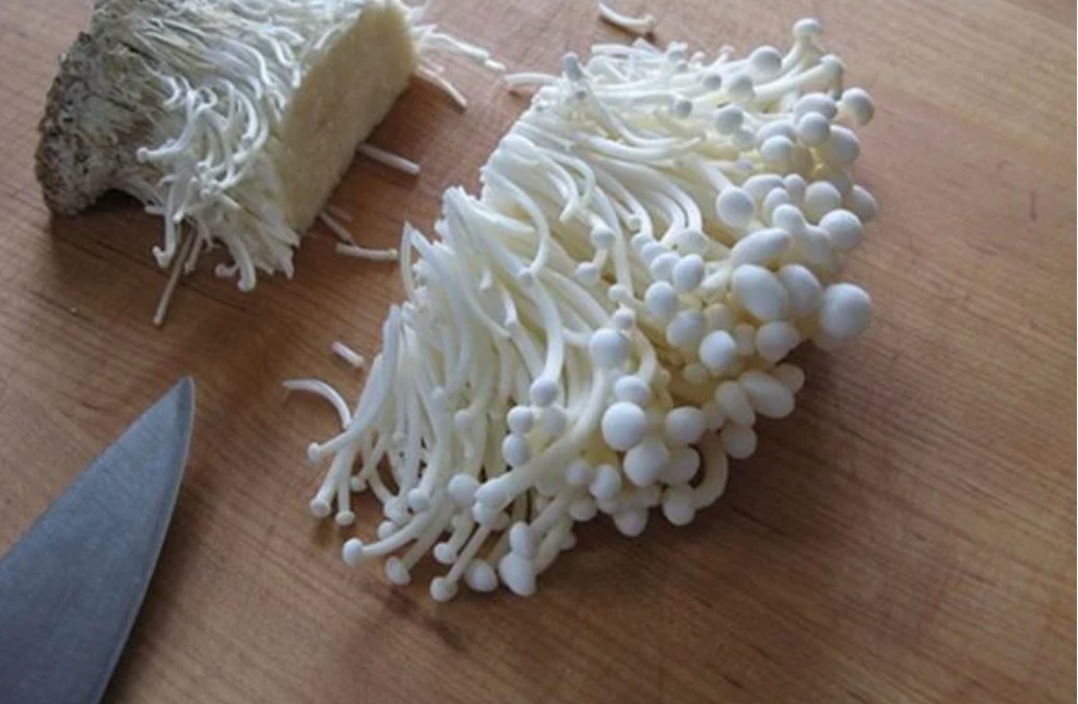 Trồng nấm kim châm tại nhà cứ làm theo cách này, chỉ đúng 2 tuần là tha hồ ăn thỏa thích-2