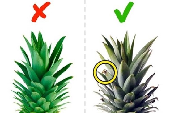 Mua hoa quả mà biết những mẹo này thì đảm bảo chọn 10 loại quả ngon cả 10