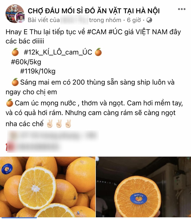 Cam Úc giá siêu rẻ bán dọc vỉa hè, tiểu thương tiết lộ sự thật-2