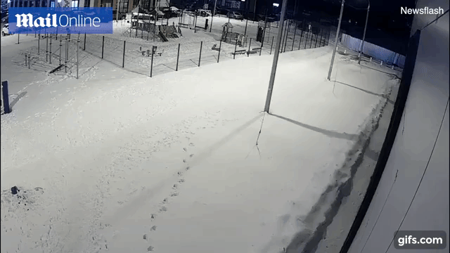 Bé trai 5 tuổi rơi từ tầng 12 xuống đất nằm bất động, chỉ 5 giây sau điều kỳ diệu đã xảy ra khiến mọi người không tin vào mắt mình-1