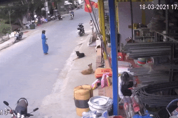 Cô gái đang đi xe buýt bỗng lăn đùng ngã vật xuống sàn, thái độ của hành khách trên xe gây ra trận khẩu chiến bùng nổ trên MXH-2