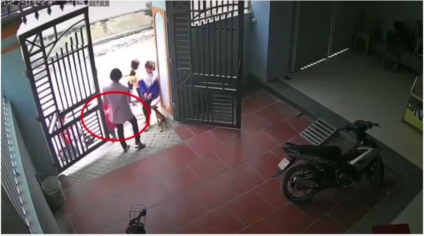 Clip: Đang đứng trước cửa nhà, em bé bỗng lao ra đường và khoảnh khắc gây sốc chỉ sau đó vài giây kèm tiếng bụp đầy xót xa-1