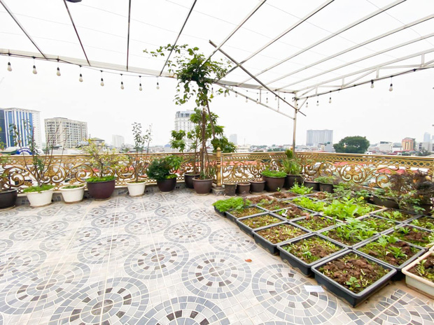 Đại gia kinh doanh đèn cao tay ở khoản chơi đồ gỗ, nhà trông giàu có nhưng không hề phô trương-11