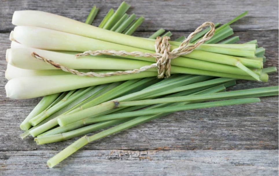 Chỉ 1 nắm sả 5 nghìn đồng bạn sẽ thấy cực kỳ diệu, điều thứ 2 mọi phụ nữ đều cần-1